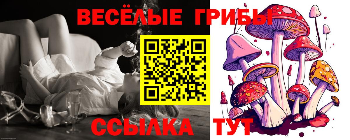 продажа наркотиков  Псилоцибиновые грибы Magic Shrooms  Вход с VPN  Киров 